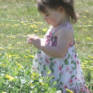 Meet your Posher, Indiana